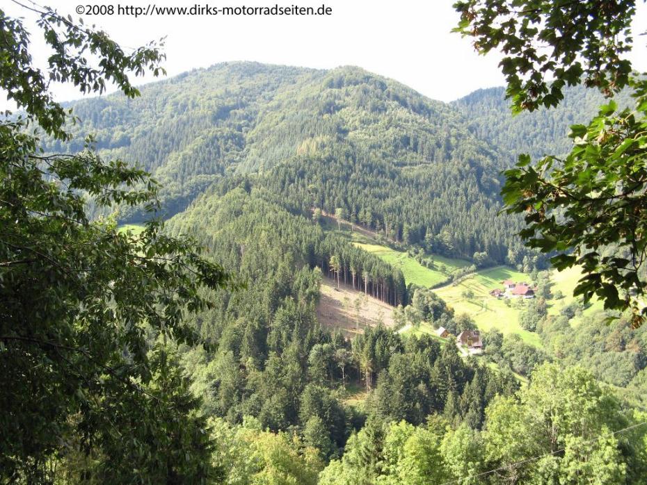 Wildgutach