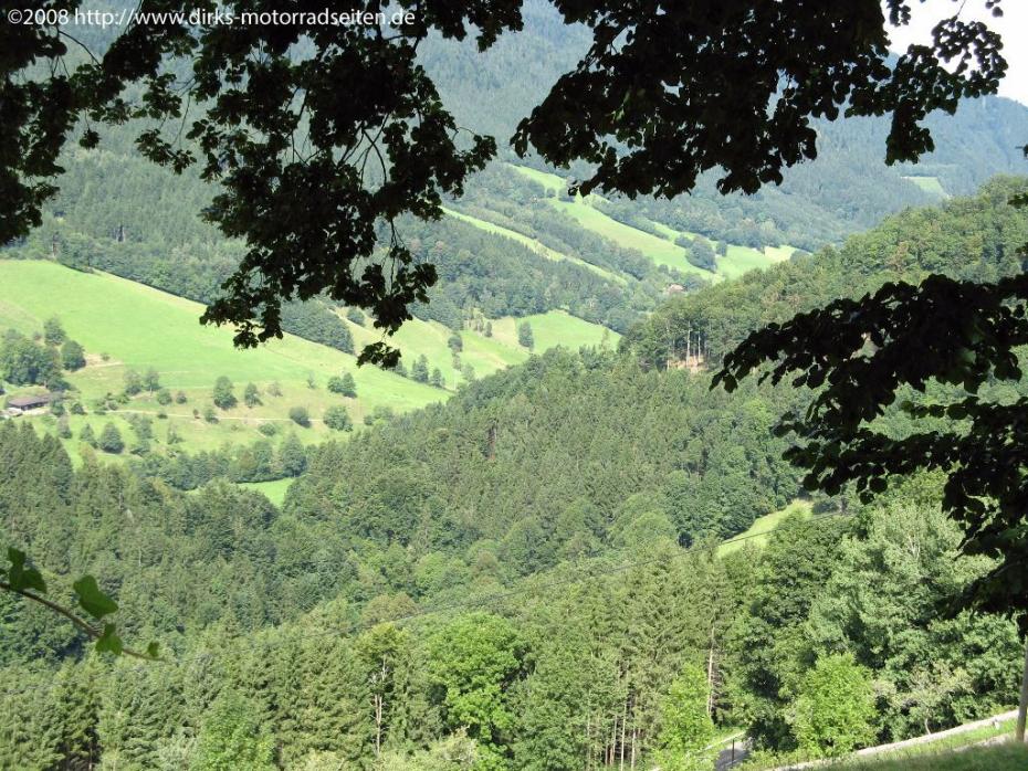 Wildgutach