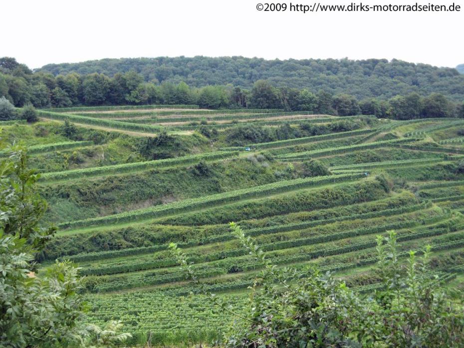 Kaiserstuhl