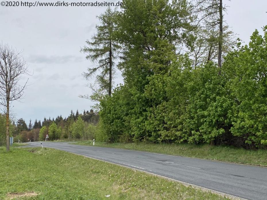 Rhönwald / Frankenheim