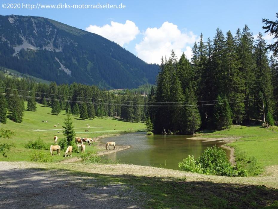 Berwang