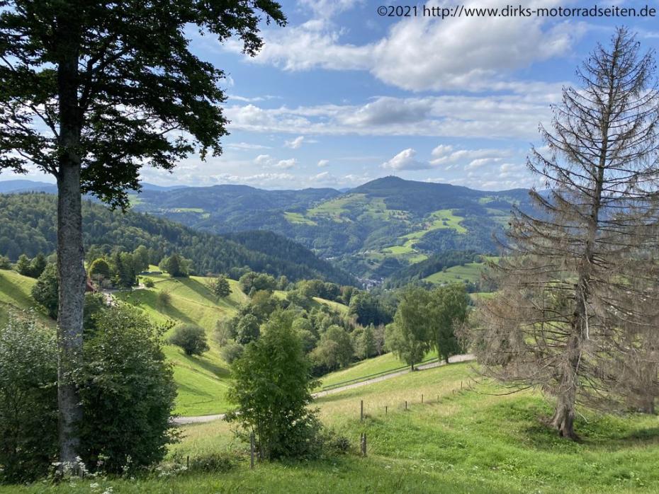 Riedichen