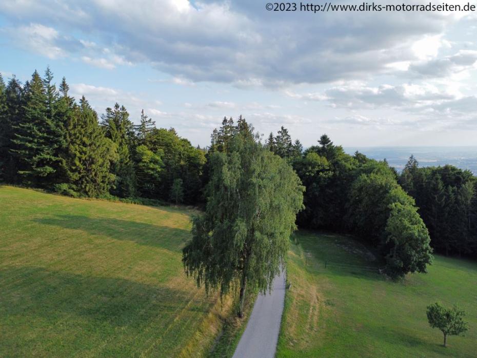 Bayerischer Wald