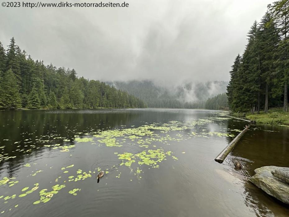 Großer Arbersee